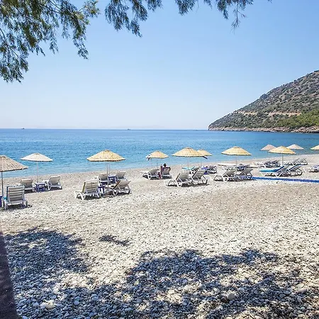 Nil Mesudiye (Datca)