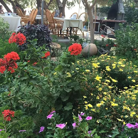 Apartmanhotel Nil Mesudiye
