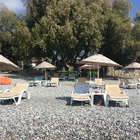 Nil Mesudiye